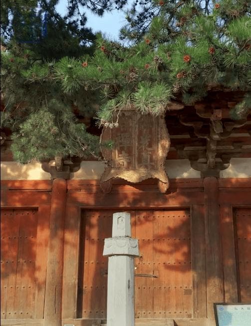 五台县人民法院发布《司法保护令》，为佛光寺披上“护甲”