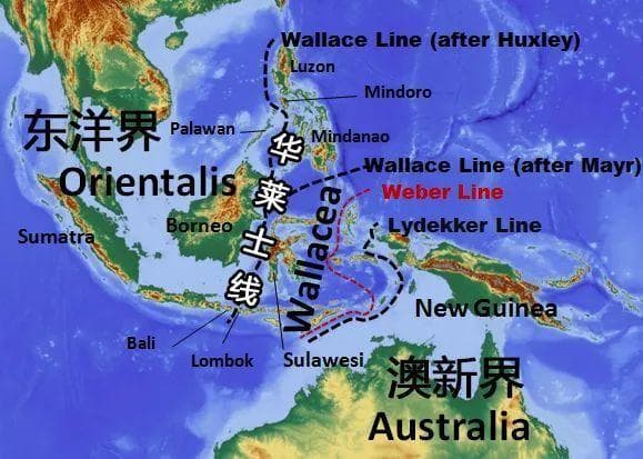 南半球的孤儿：澳大利亚