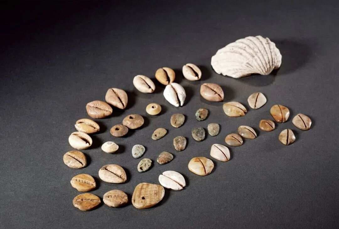 【知识科普】中国古代货币发展史