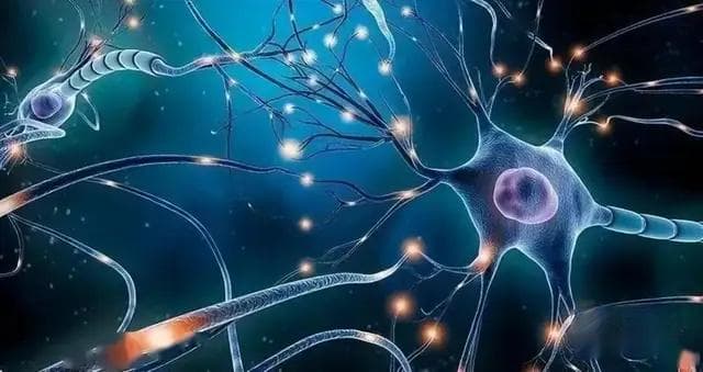 人类终其一生在学习，但其实大脑只能存住4GB？
