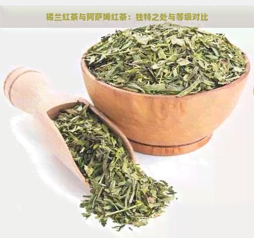 锡兰红茶与阿萨姆红茶：独特之处与等级对比