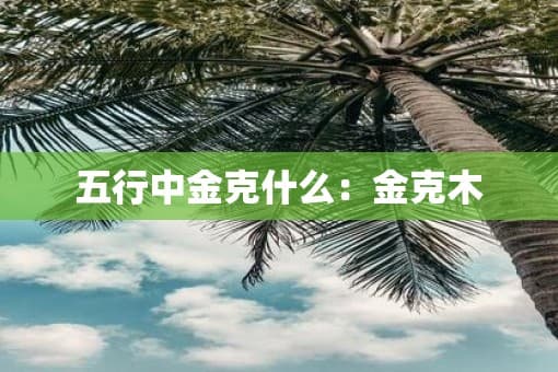 五行中金克什么：金克木