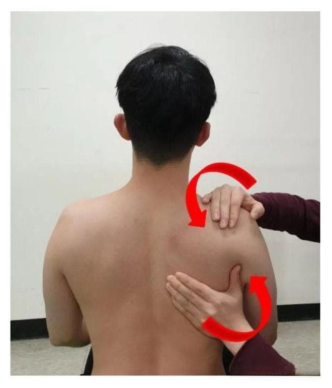 肩胛骨弹响：常见位置与改善方法