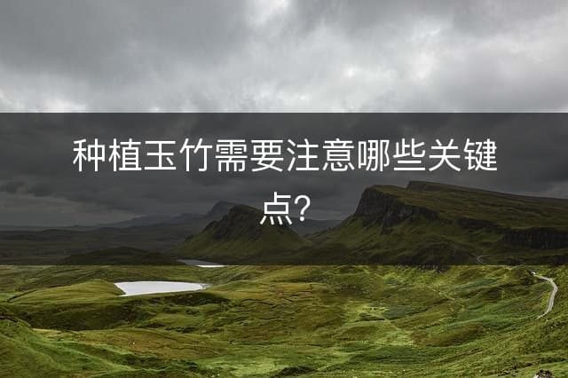 种植玉竹需要注意哪些关键点？