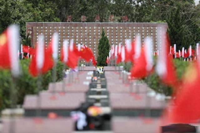 又见边关木棉红：广西全力做好烈士异地祭扫服务保障工作