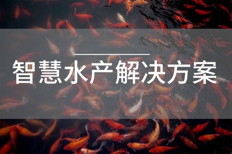 绿色生态，智慧管理：智慧渔业助力海洋资源保护