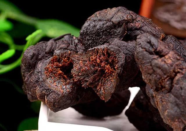 黄精的种植与选购：从种植到挑选的全方位指南