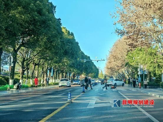 海埂大坝禁停共享单车？官方回复来了