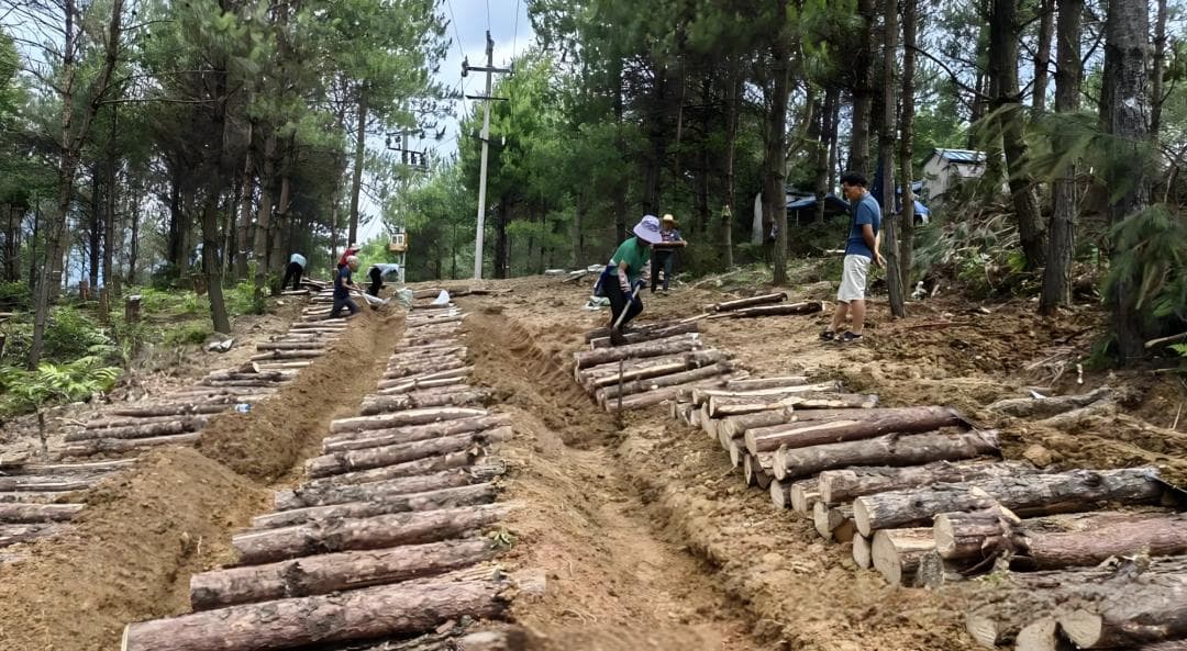 五种林下种植模式你知道吗？