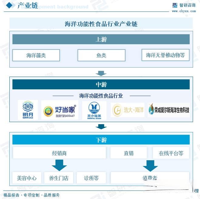 2025年中国海洋功能性食品行业深度分析：产业链、市场规模与发展趋势