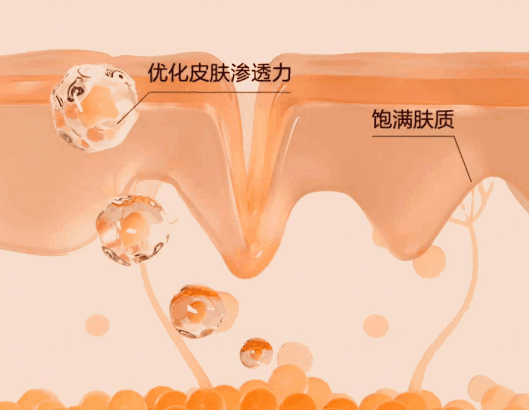 皮肤自我修复的节奏：夜间修复的黄金时间