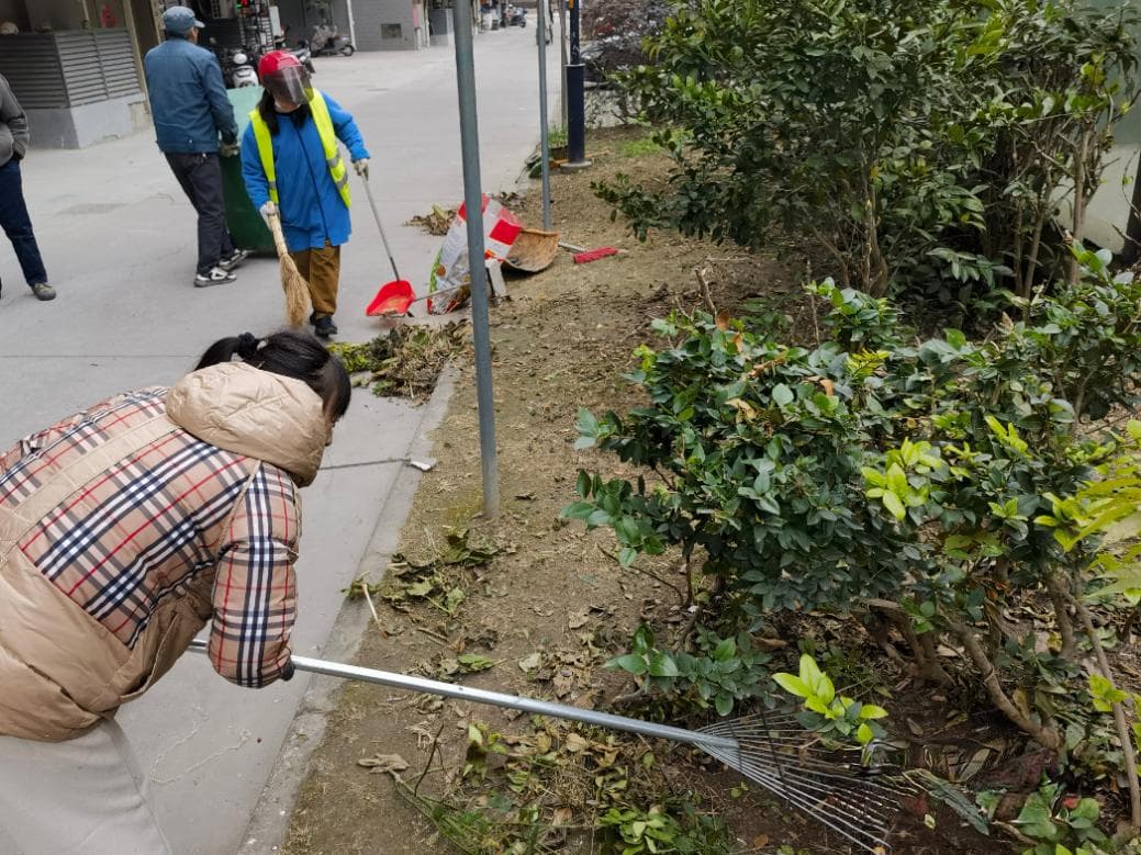 南通崇川幸福街道：清洁家园贺新春，小区环境焕新颜