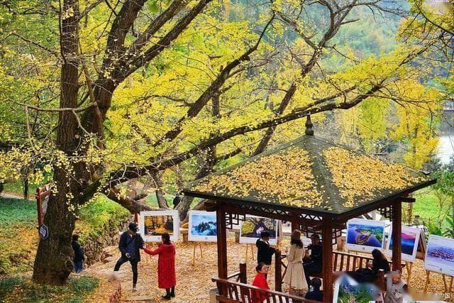 韶关帽子峰旅游景区，入冬2日游攻略：探寻岭南秋色