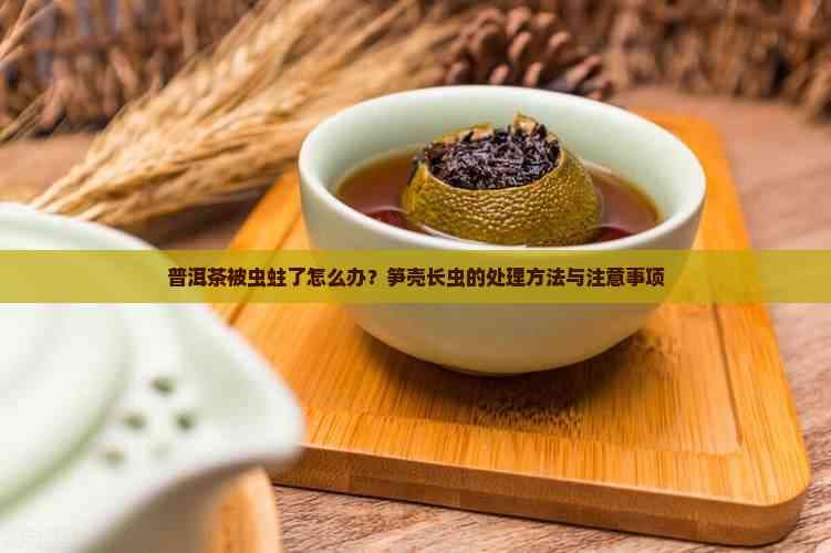 普洱茶被虫蛀了怎么办？笋壳长虫的处理方法与注意事项