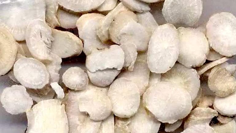 附子性味归经