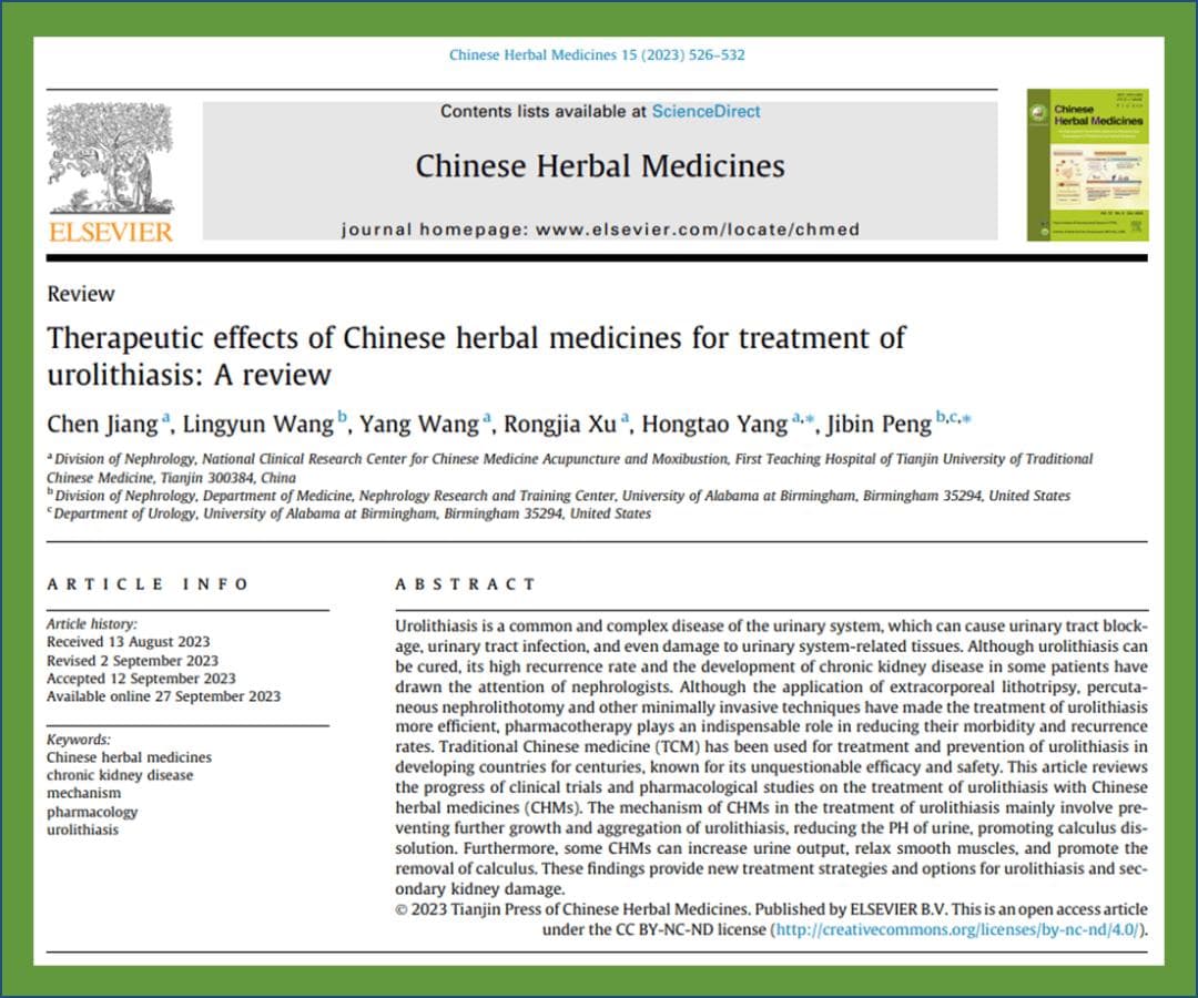 杨洪涛教授团队总结临床试验和药理研究进展为中医药治疗尿路结石提供新的治疗策略