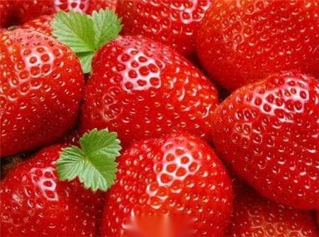 草莓的营养价值、功效与作用、食用禁忌