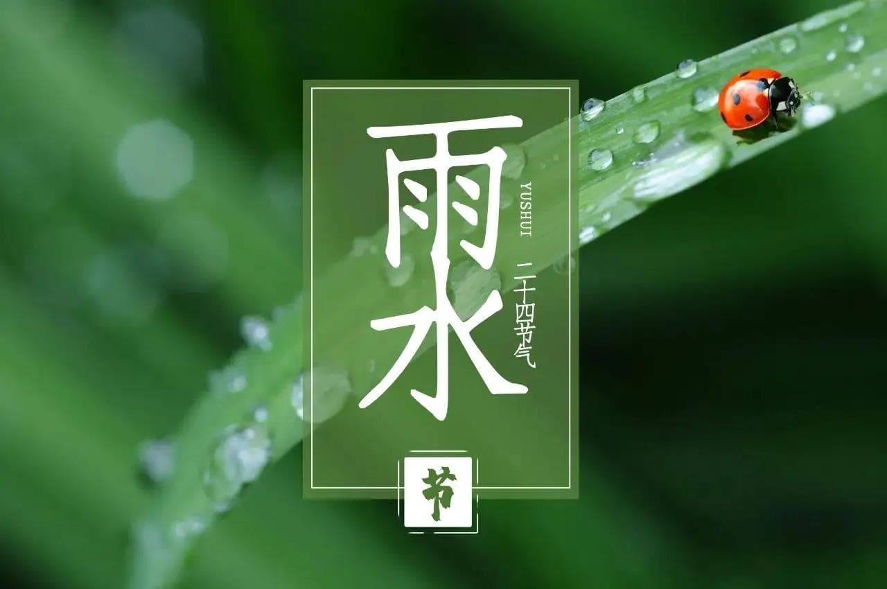 雨水节气：春雨渐至，农事繁忙，民俗活动寓意吉祥