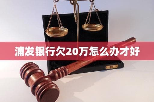 浦发银行欠20万怎么办才好