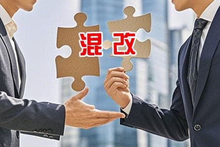 国投集团：如何管控混改企业？