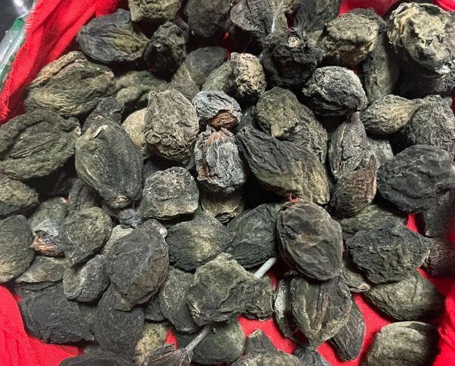 一桃压百魅，一枭镇千邪：揭秘桃枭的神秘文化与实用价值