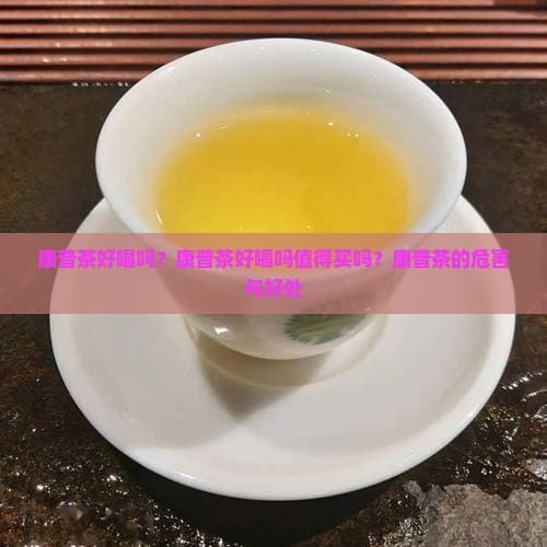 康普茶走红全球，专家详解其健康功效与饮用注意事项