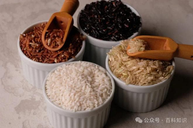 杂说淀粉和膳食纤维