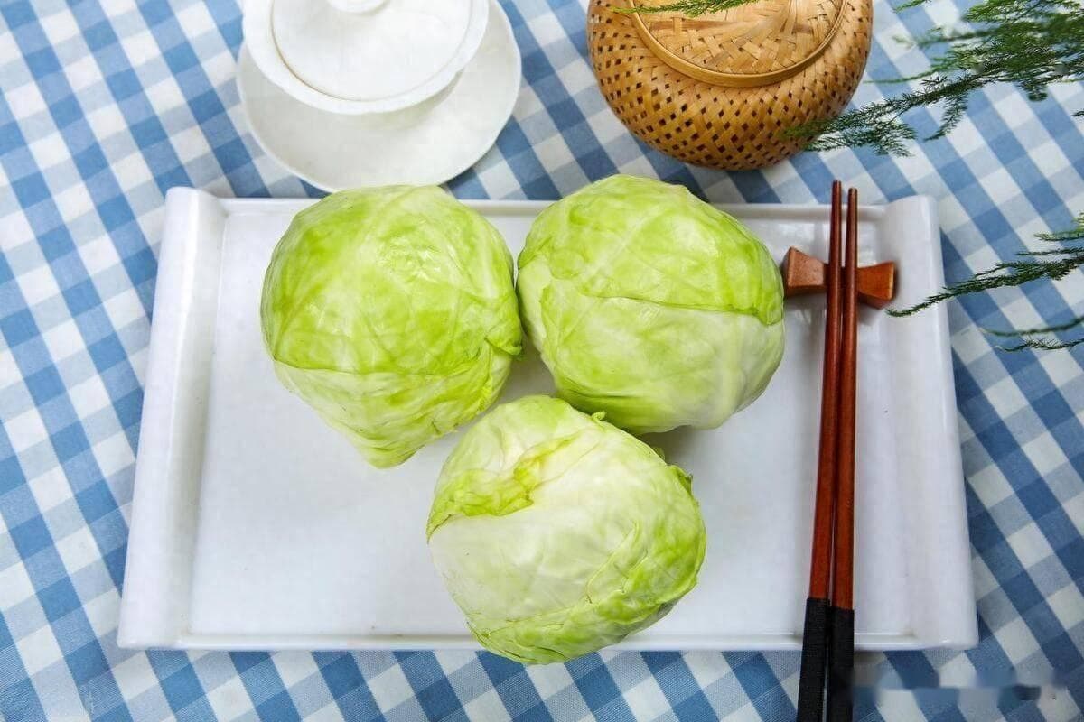 韩国卷心菜替代大白菜，效果惊人！