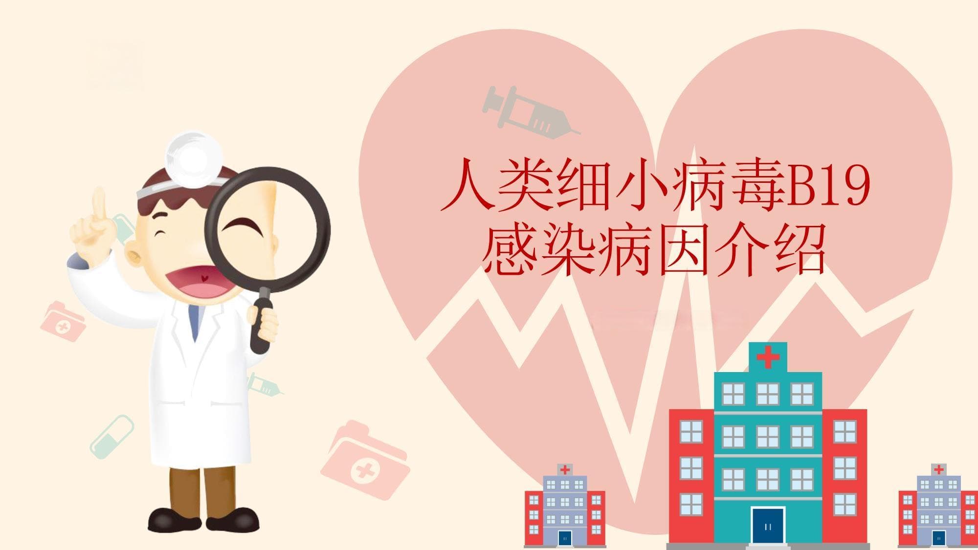 人类细小病毒B19感染病因介绍