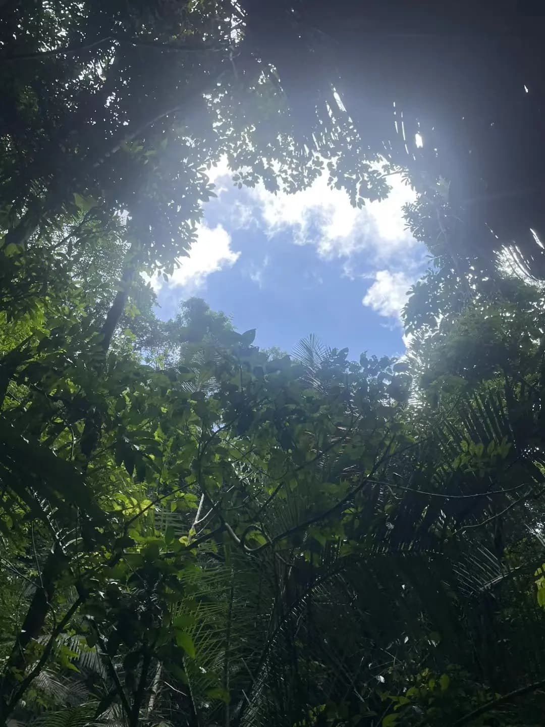 未来是如何影响当下的