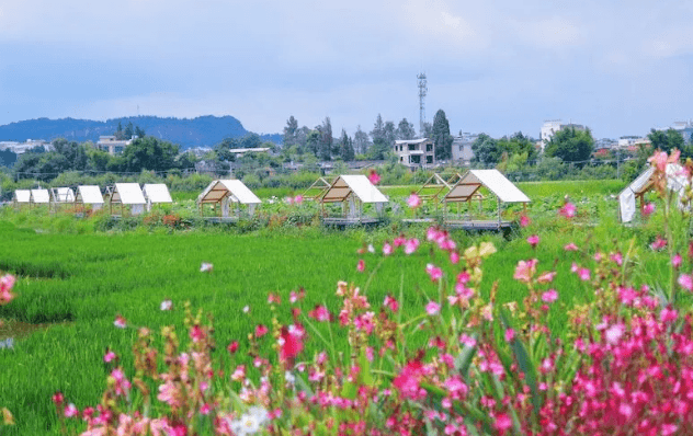 晋宁乡村旅游发展结出的“硕果”地：小渔村