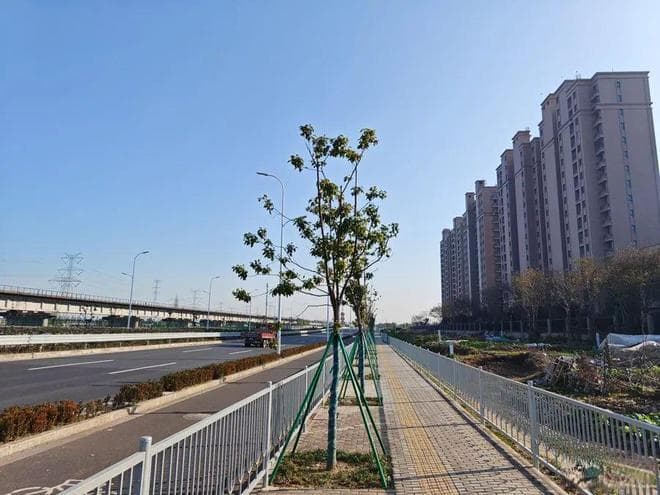 投诉量突然激增！上海一小区居民崩溃：半小时就来一次“空隆隆”，还有“低频震动”