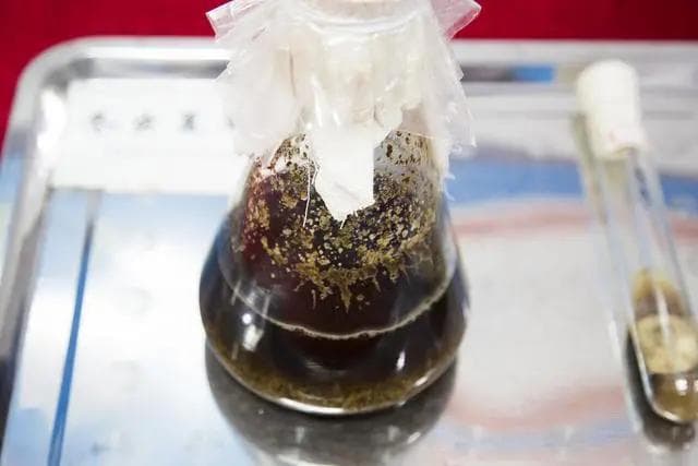 揭秘冬虫夏草香烟的天价之谜：稀缺原料、精湛工艺与奢侈品定位的多重影响