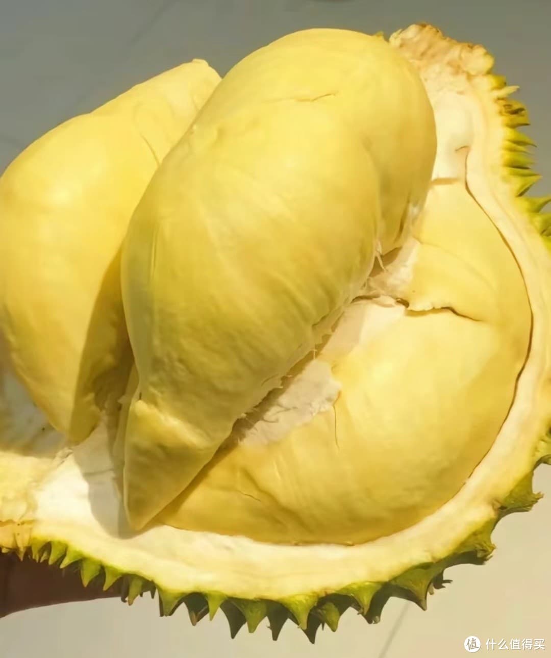 美味的榴莲抵挡不住