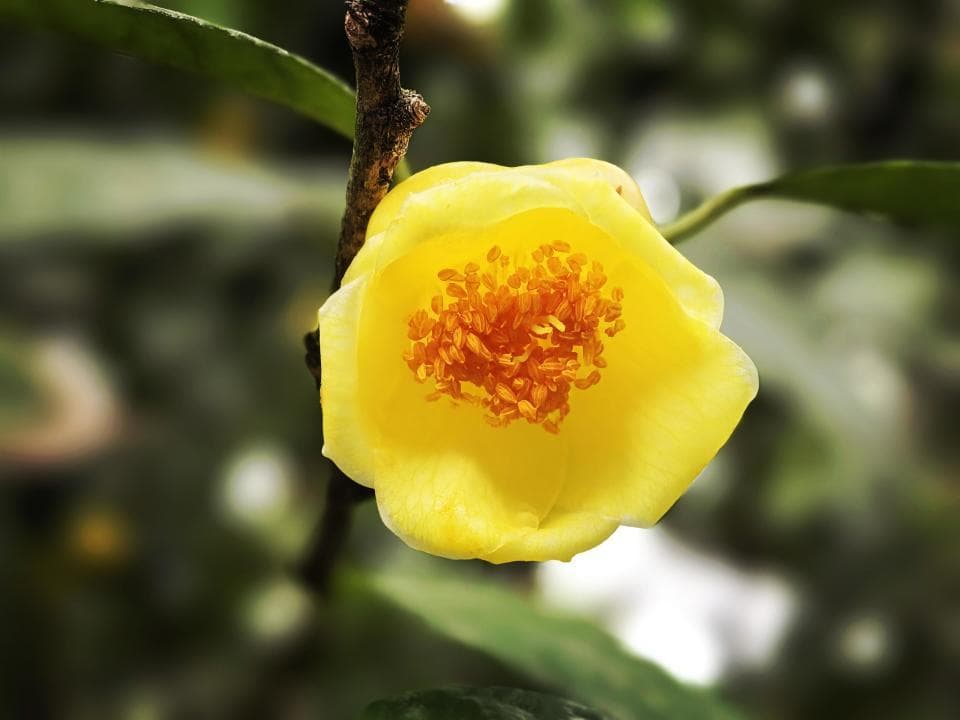 春行万里—踏青时节的文化之旅