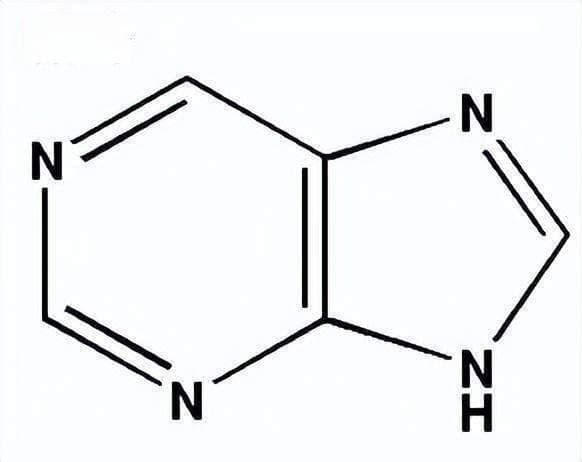 你真了解嘌呤吗？高尿酸血症与痛风又是怎么回事？要如何治疗？