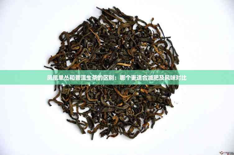 凤凰单丛和普洱生茶的区别：哪个更适合减肥及风味对比