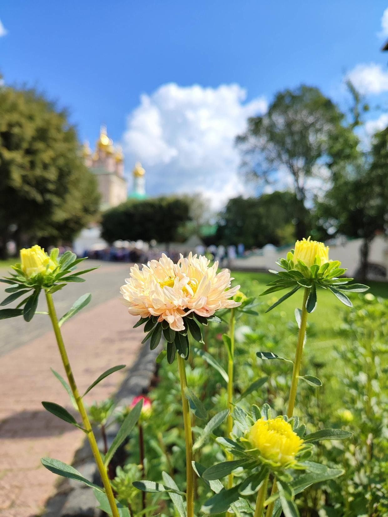 非洲出行注意点，需要打疫苗