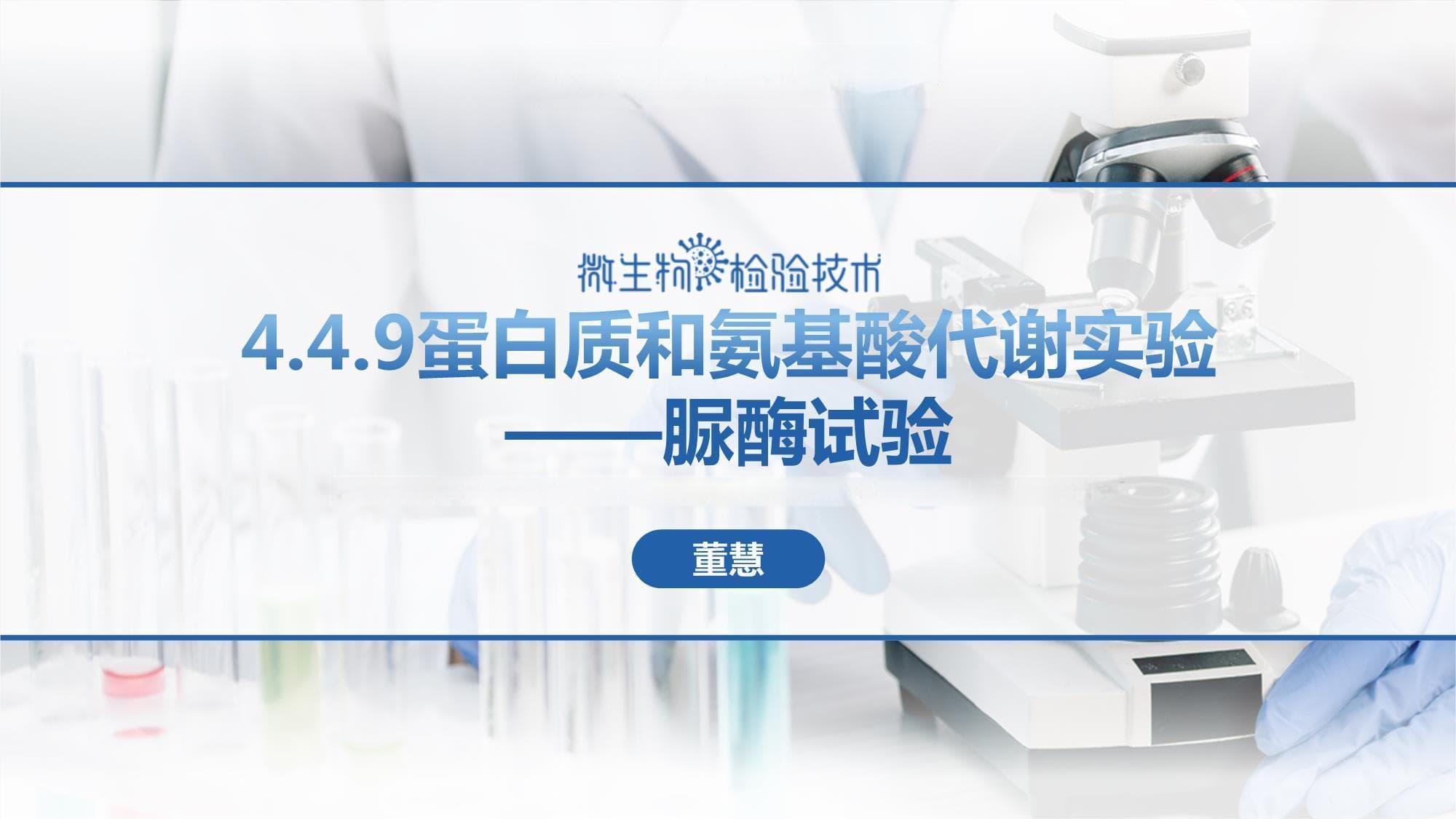 蛋白质和氨基酸代谢实验脲酶试验董慧讲解
