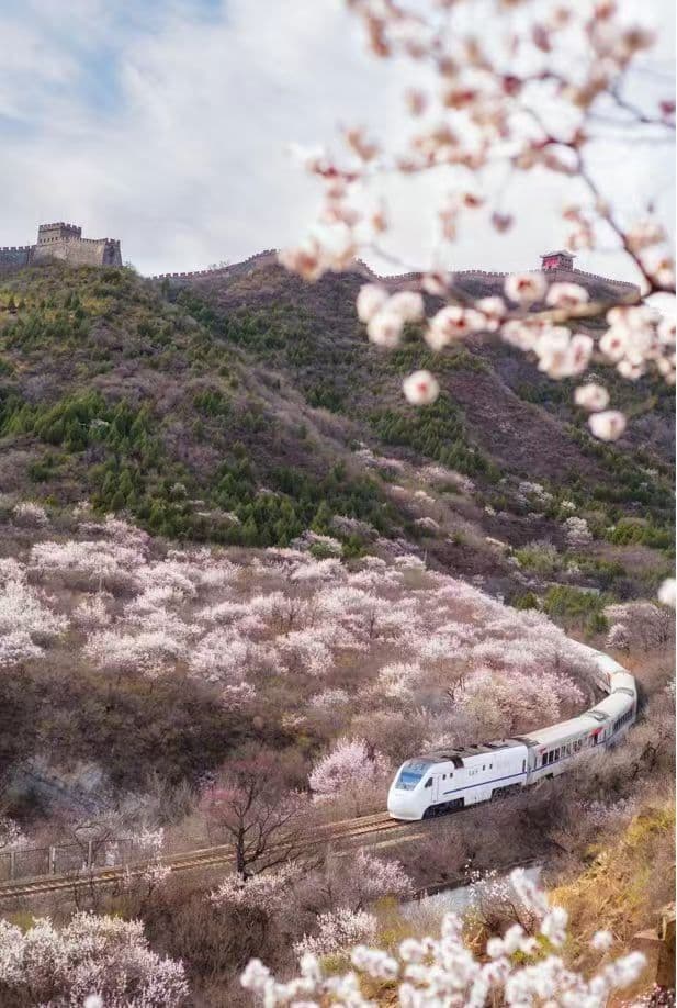 列车穿花海，文旅促振兴
