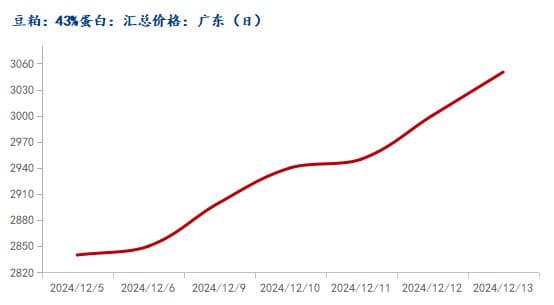 广东豆粕“一粕难求” 本周能否延续涨势？