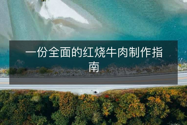 一份全面的红烧牛肉制作指南