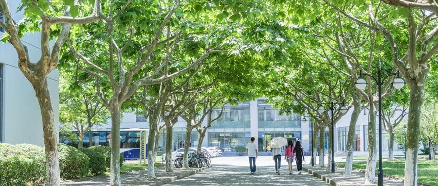 张雪峰谈深圳职业技术大学怎么样？值不值得报考？