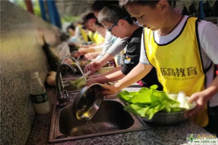 为什么要体验农家？——多维价值解析