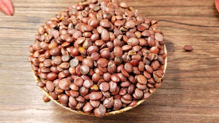 山枣核的功效与作用、禁忌和食用方法