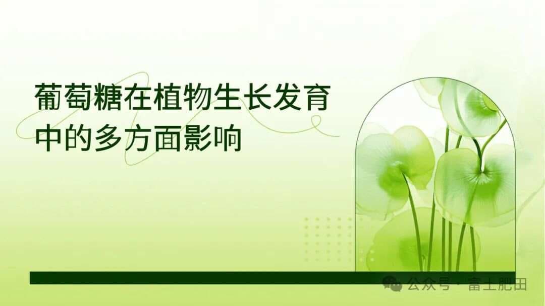 葡萄糖：植物生长的关键助力
