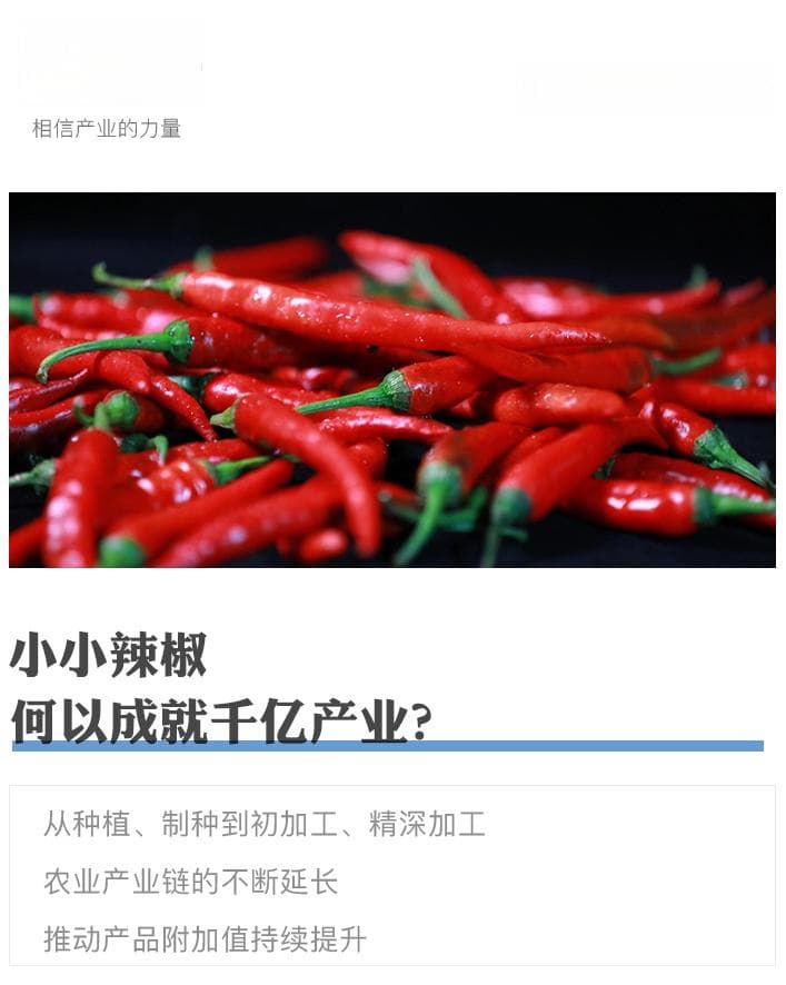 小小辣椒，何以成就千亿产业？