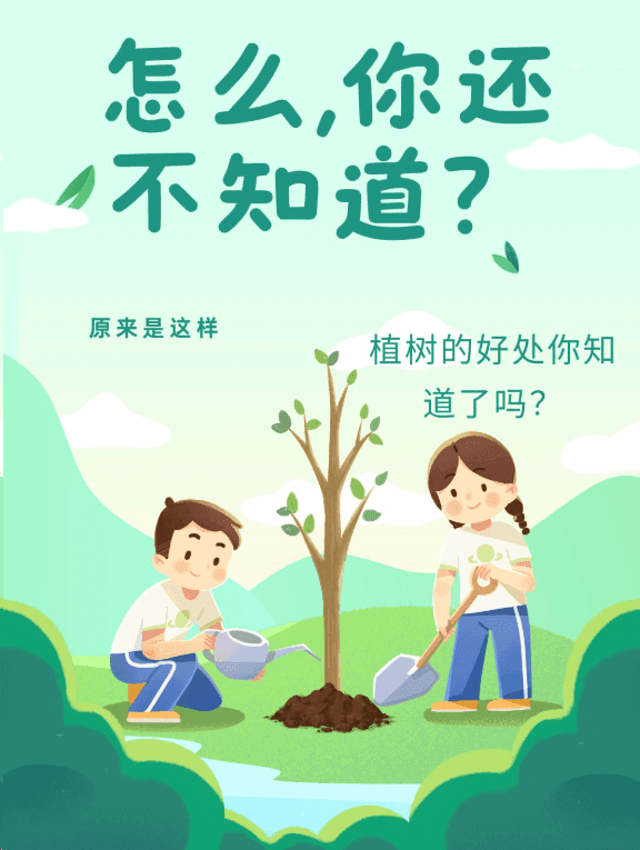 植树造林如何提升生态优势？探讨绿色环保对未来的深远影响与个人行动意义