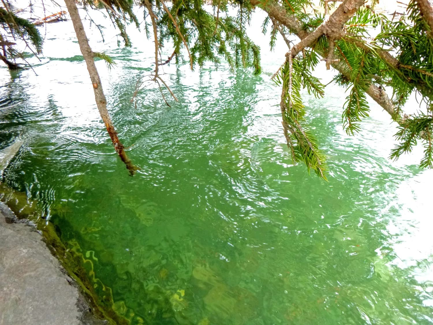 G315青海西段自驾游全攻略：从路线到住宿