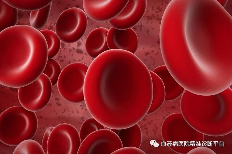 贫血五项检测的临床意义
